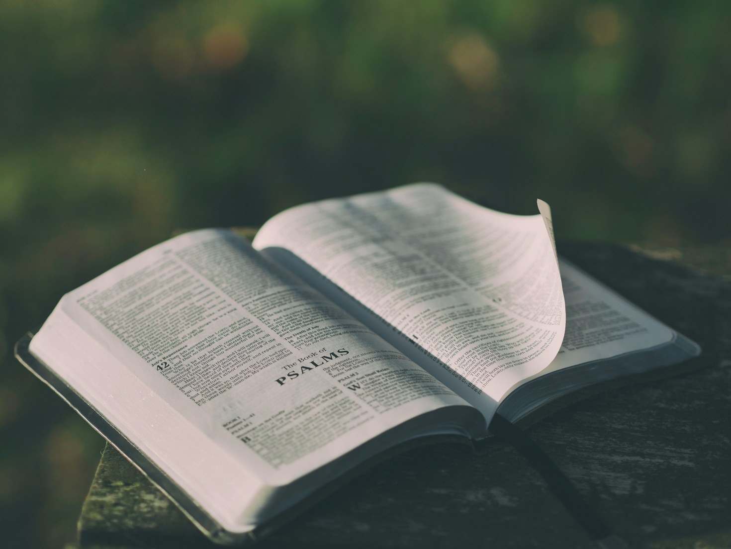 How Biblical Teachings Illuminate Life’s Purpose